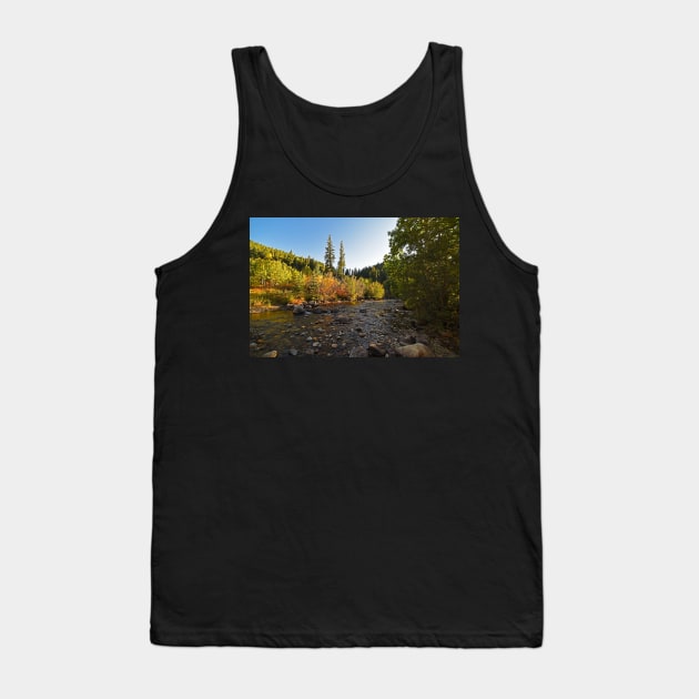 Boulder Colorado Canyon Creek Fall Foliage Tank Top by WayneOxfordPh